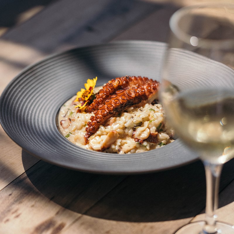 imag_pratoprincipal_risotodepolvo_BM